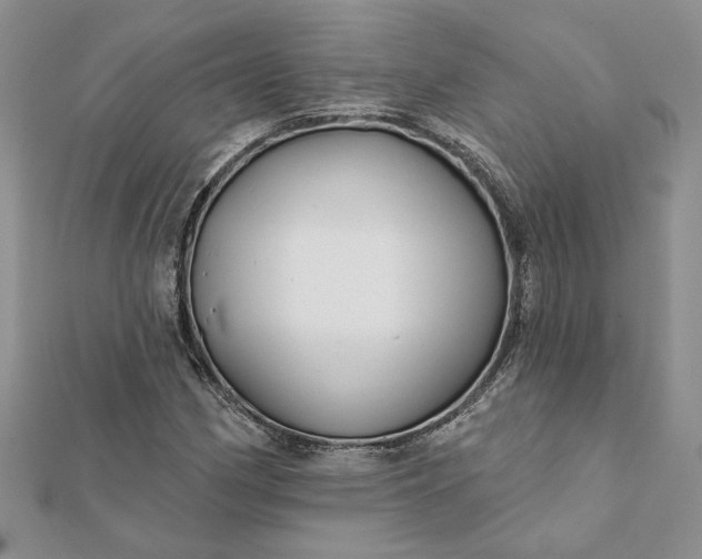 X0000112061162200908181151