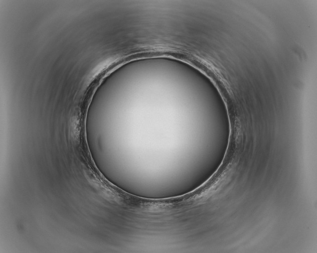 X0000112061163200908181151