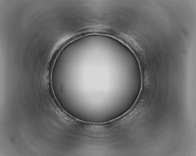 X0000112061164200908181151