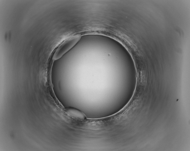 X0000112061165200908181151