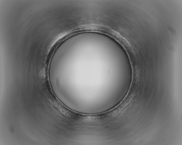 X0000112061166200908181151