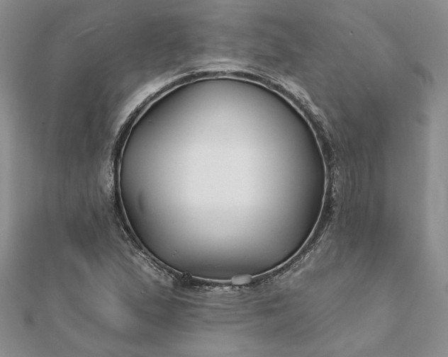 X0000112061167200908181151