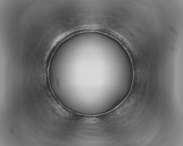 X0000112061168200908181151