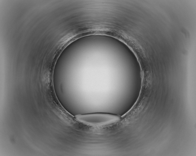 X0000112061169200908181151