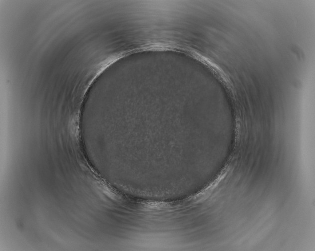 X0000112061170200908181151