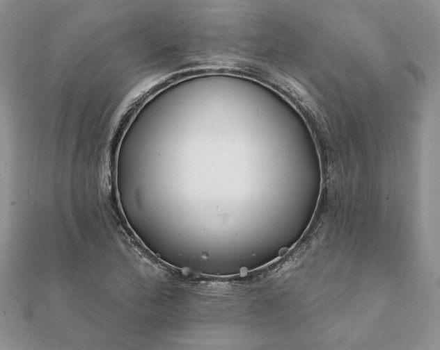 X0000112061172200908181151