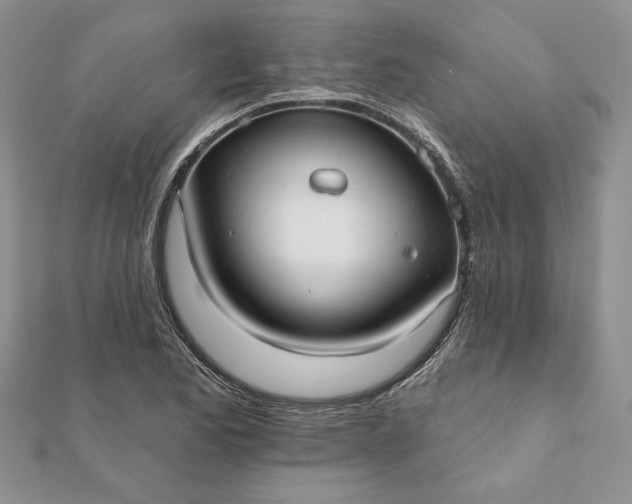 X0000112061173200908181151