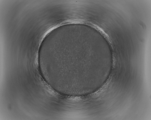 X0000112061174200908181151