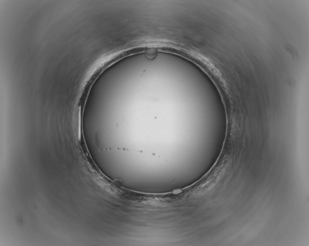 X0000112061175200908181151