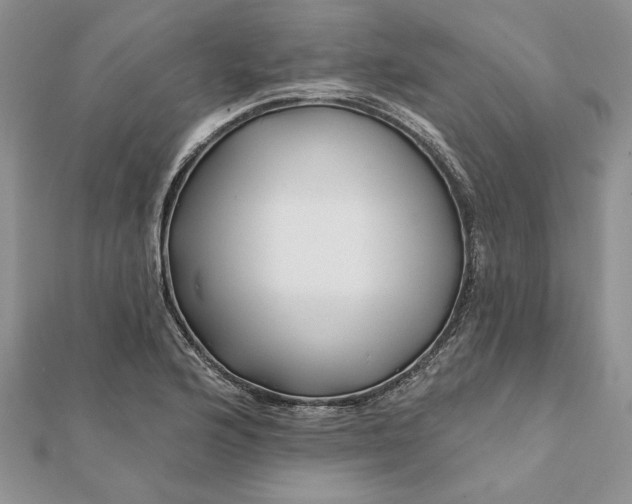 X0000112061176200908181151