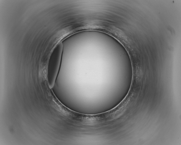 X0000112061177200908181151