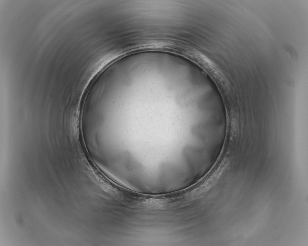 X0000112061178200908181151