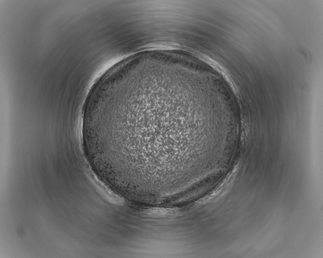 X0000112061179200908181151