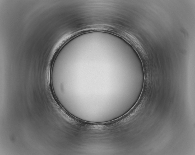 X0000112061180200908181151