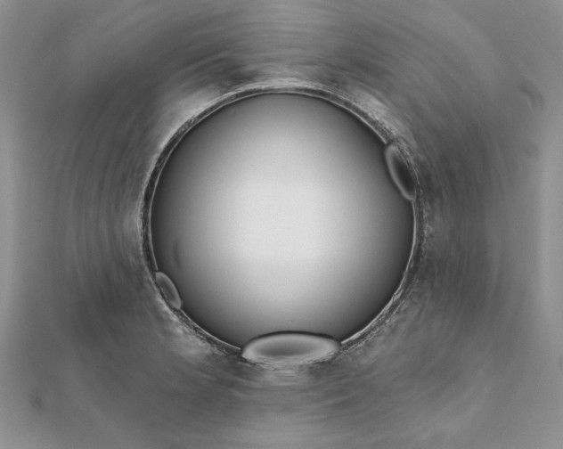 X0000112061181200908181151