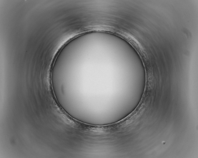 X0000112061182200908181151