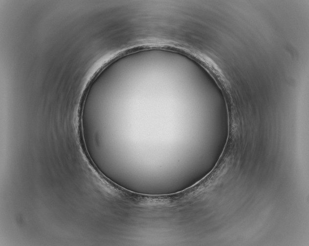 X0000112061183200908181151