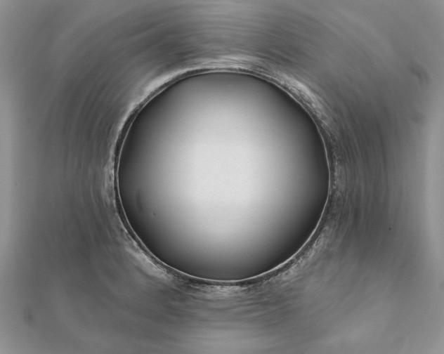 X0000112061184200908181151