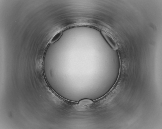 X0000112061185200908181151