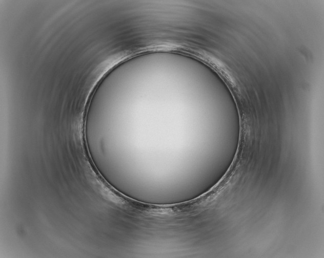 X0000112061186200908181151