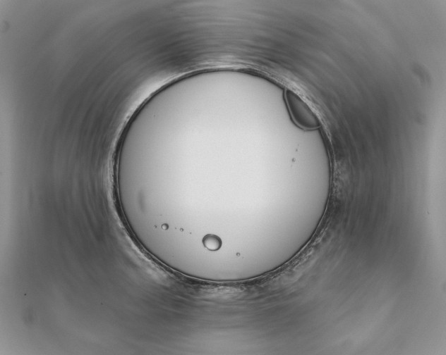 X0000112061187200908181151