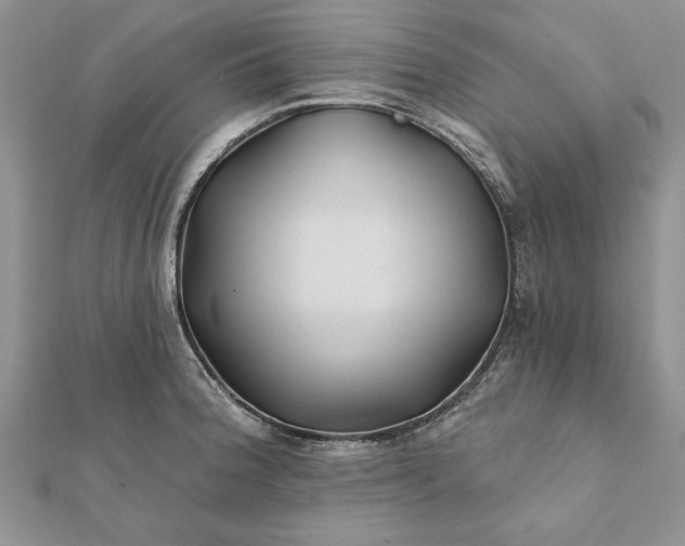 X0000112061188200908181151