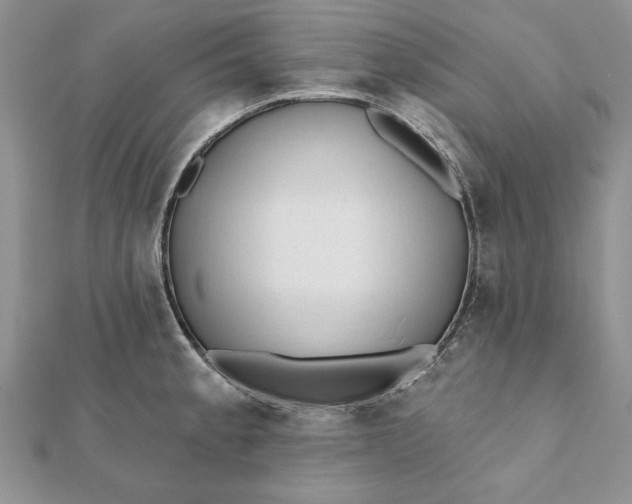 X0000112061189200908181151