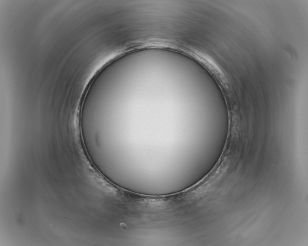 X0000112061190200908181151