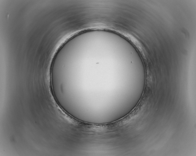 X0000112061191200908181151