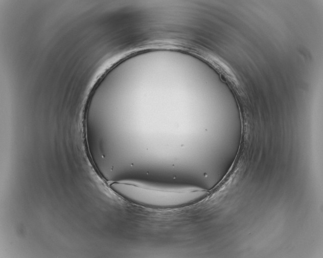 X0000112061192200908181151