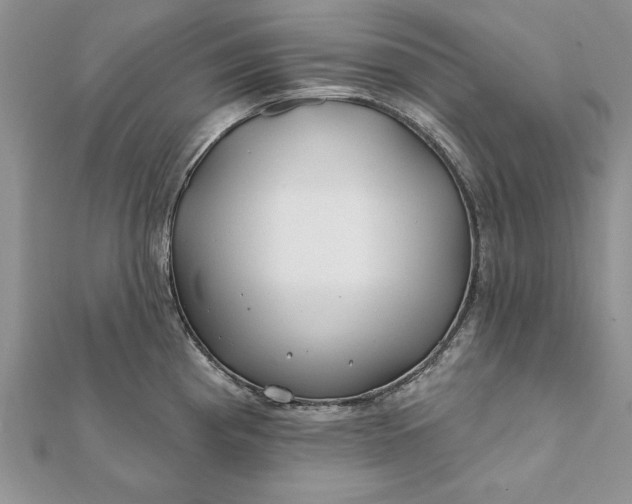 X0000112061193200908181151