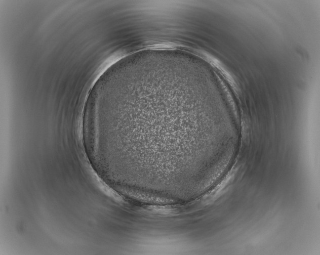 X0000112061194200908181151