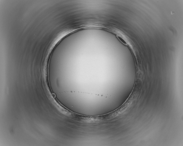 X0000112061195200908181151