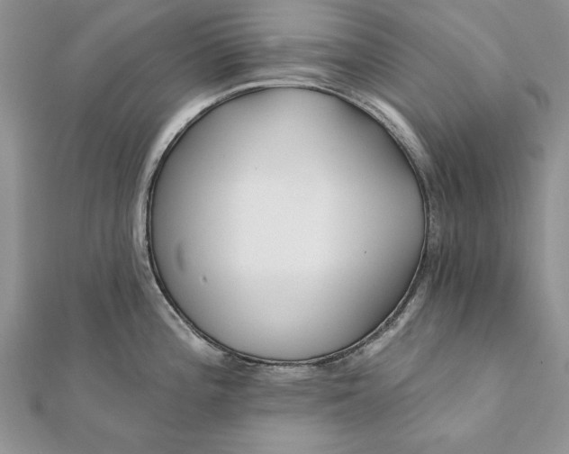 X0000112061196200908181151