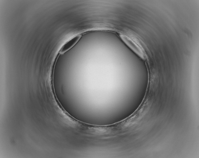 X0000112061197200908181151