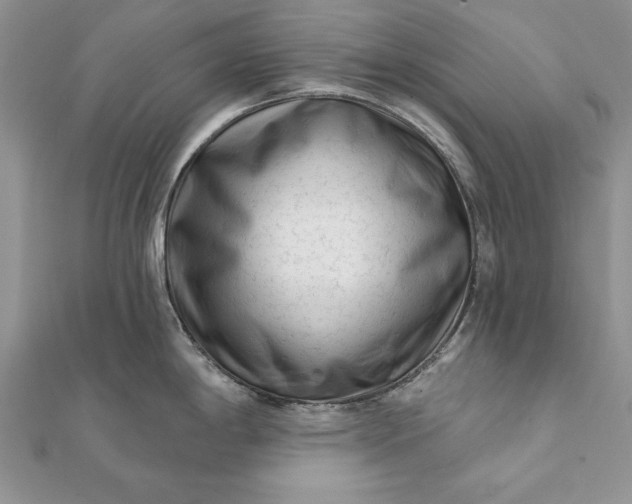 X0000112061198200908181151