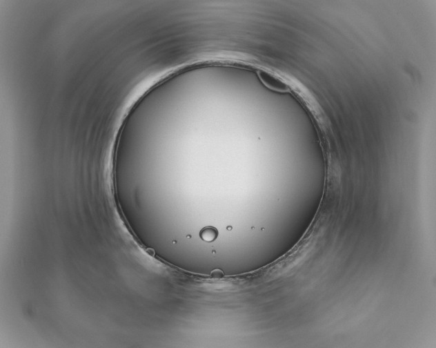 X0000112061199200908181151