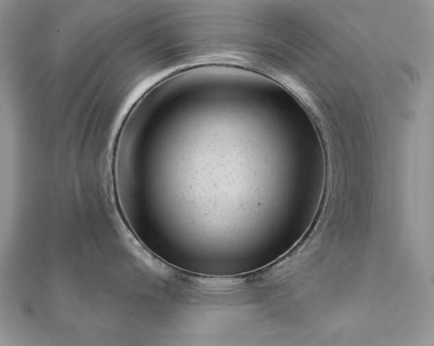 X0000112061200200908181151