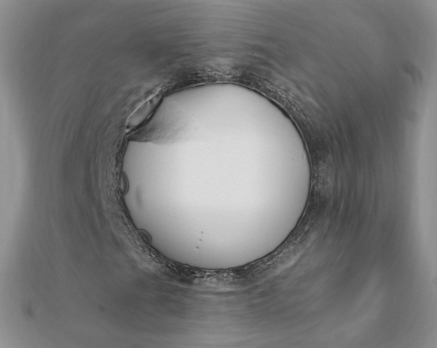 X0000112061201200908181150