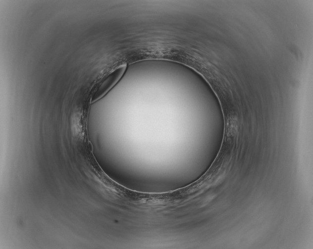 X0000112061202200908181150