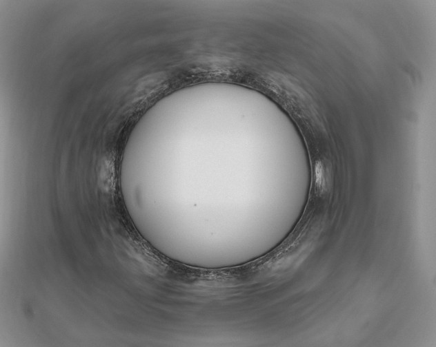 X0000112061203200908181150