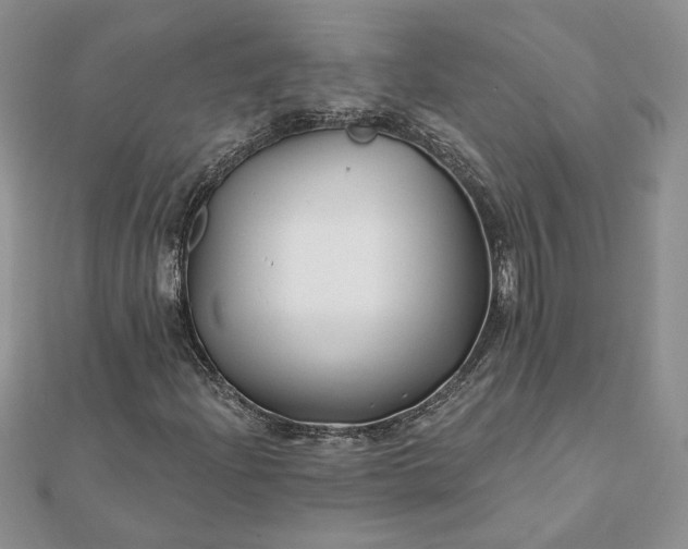 X0000112061204200908181150