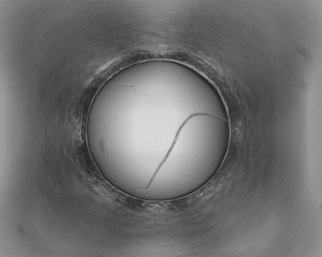 X0000112061205200908181150