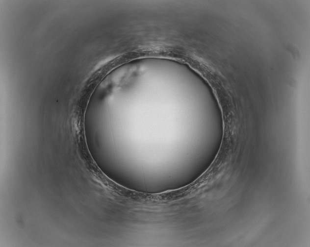 X0000112061206200908181150