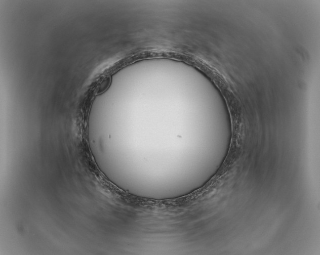 X0000112061207200908181150