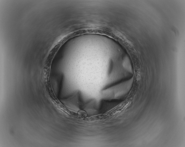 X0000112061208200908181150