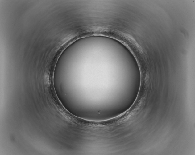 X0000112061209200908181150