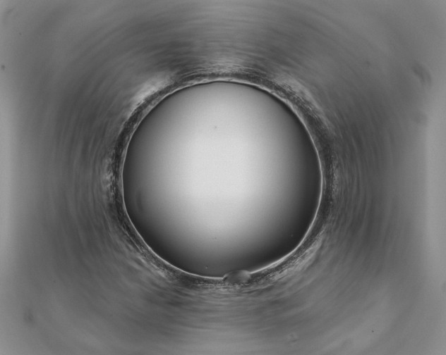 X0000112061210200908181150