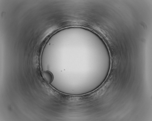 X0000112061211200908181150