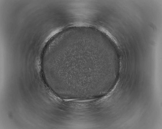 X0000112061213200908181150